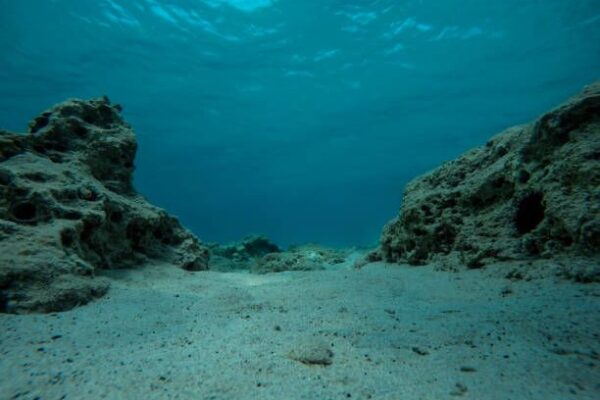 Seafloor