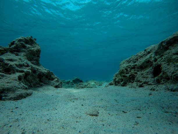 Sea Floor